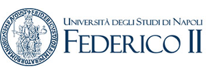 Logo Università degli Studi di Napoli Federico II